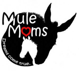 Mule Moms Program